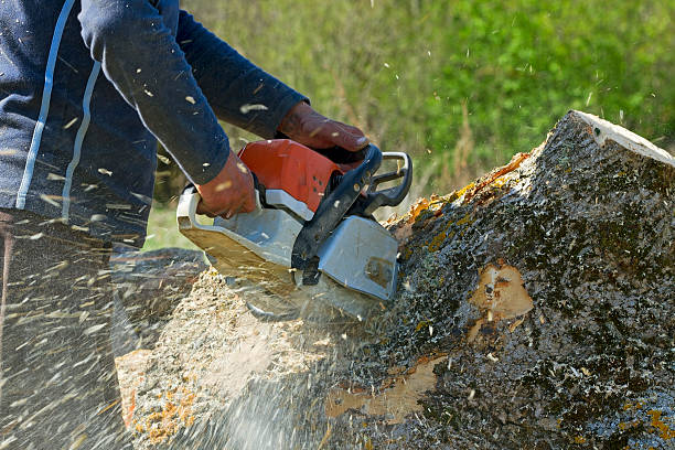 Lawn Irrigation Installation and Maintenance in Buna, TX